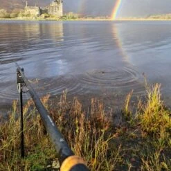 Daiwa Black Widow Deadbait Rods 11 Daiwa Black Widow Deadbait Rods -Fishing Equipment Discount Store 1p0fx1fq638037749376916553