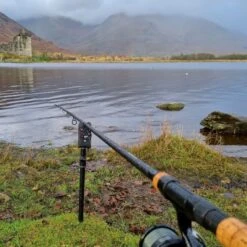 Daiwa Black Widow Deadbait Rods 10 Daiwa Black Widow Deadbait Rods -Fishing Equipment Discount Store 5ulcahz1638037749376916553