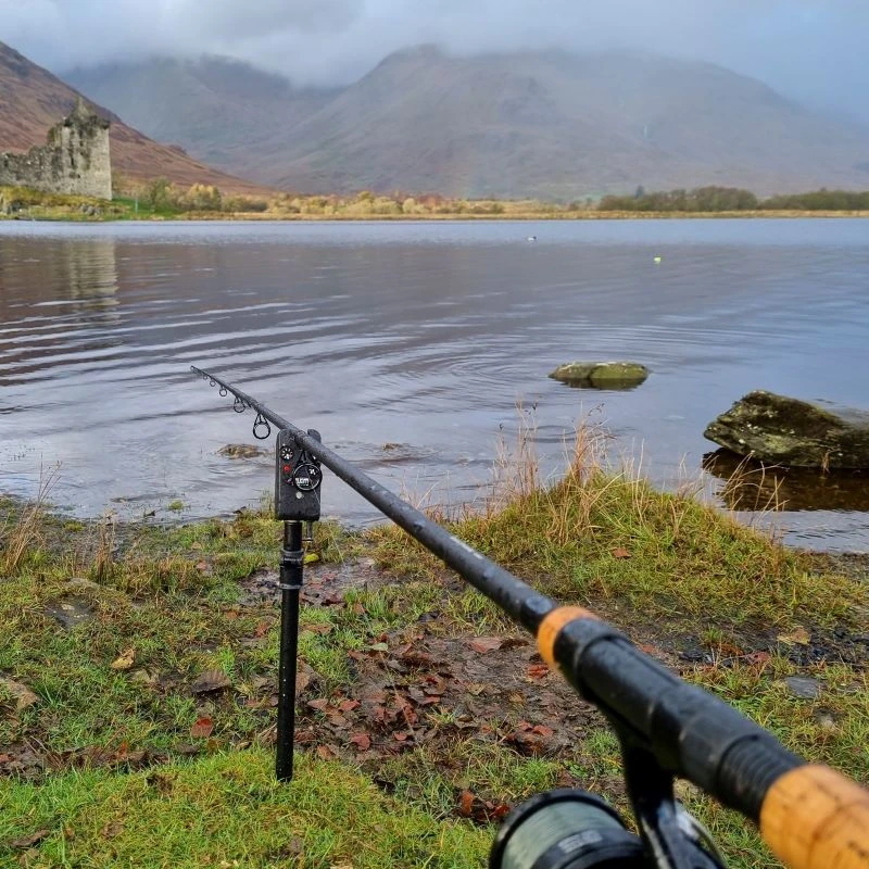 Daiwa Black Widow Deadbait Rods 6 Daiwa Black Widow Deadbait Rods - Image 4