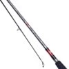 Daiwa Sea Hunter Z Spin 10ft