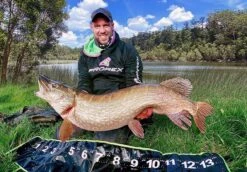 Daiwa Prorex Hoodie -Fishing Equipment Discount Store gu34yrqi637734256259033245