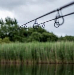 Daiwa Vertice Carp Rods -Fishing Equipment Discount Store jtdburfa637835455207995648