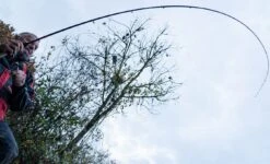 Daiwa Ninja Feeder Rods 13 Daiwa Ninja Feeder Rods -Fishing Equipment Discount Store khcnw4b3637485501024777987