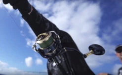 Daiwa 20 Saltiga Reels -Fishing Equipment Discount Store uiq1qnus637148744462439142