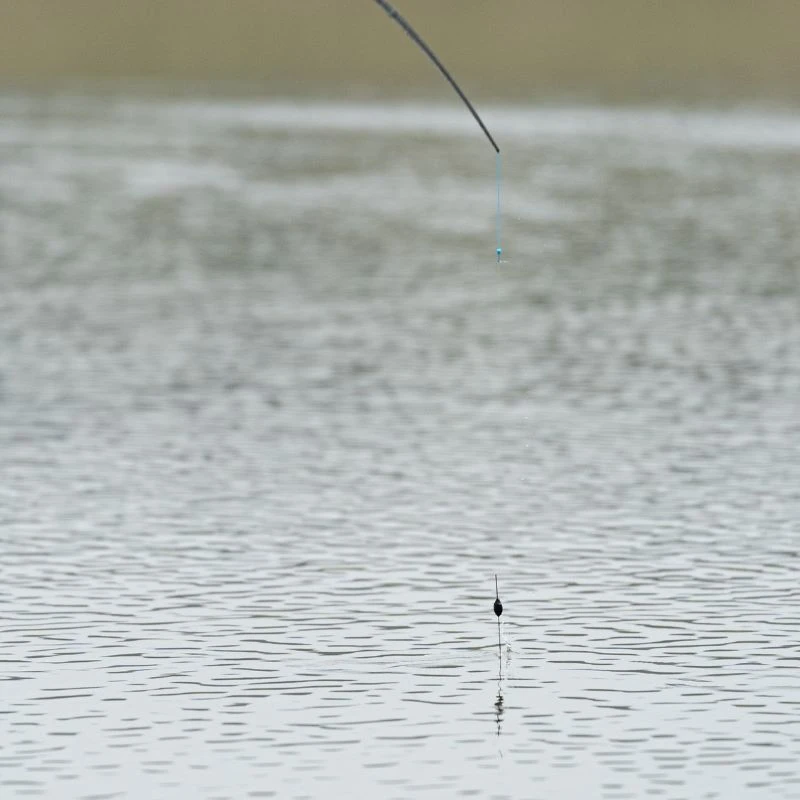 Daiwa KC Carpa Gloucester Wire Stem 6 Daiwa KC Carpa Gloucester Wire Stem - Image 4