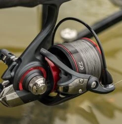 Daiwa Tournament Feeder 25QD Reel -Fishing Equipment Discount Store vjbaidf4637988327358470832